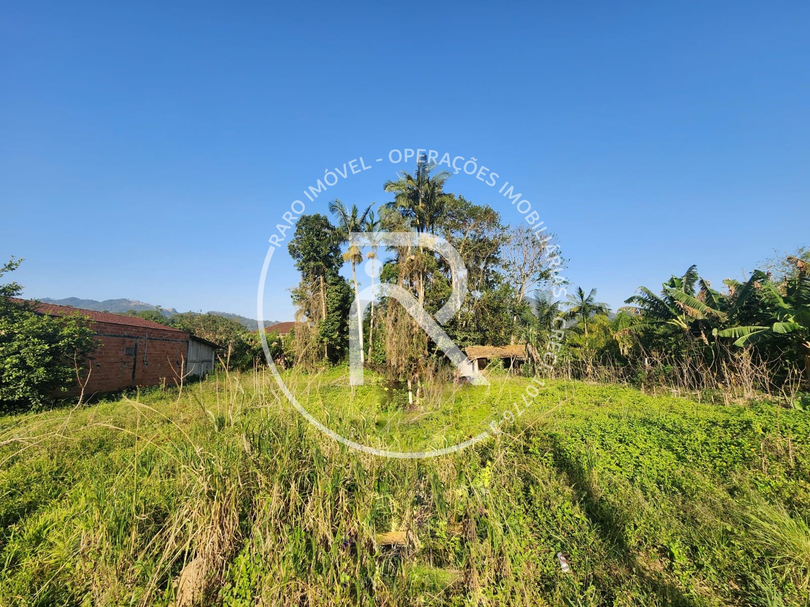 WhatsApp-Image-2025-08-28-at-15.44.15-1